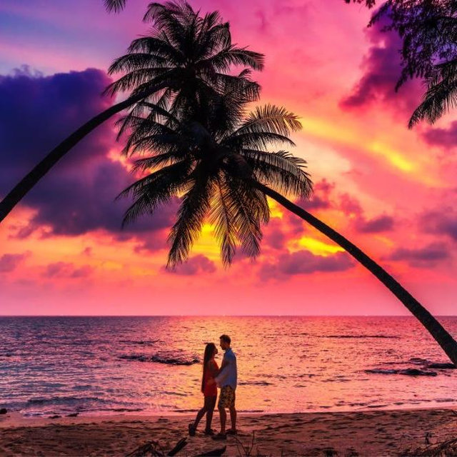 Our Honeymoon Fund (Credit Card Option)