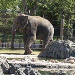 Denver Zoo