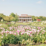 Willow Creek Winery & Farm