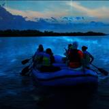 BK Adventure Florida - Bioluminescence Tours