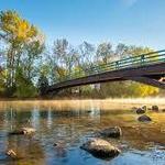 Friendship Bridge