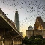 Town Lake & Bike Trail