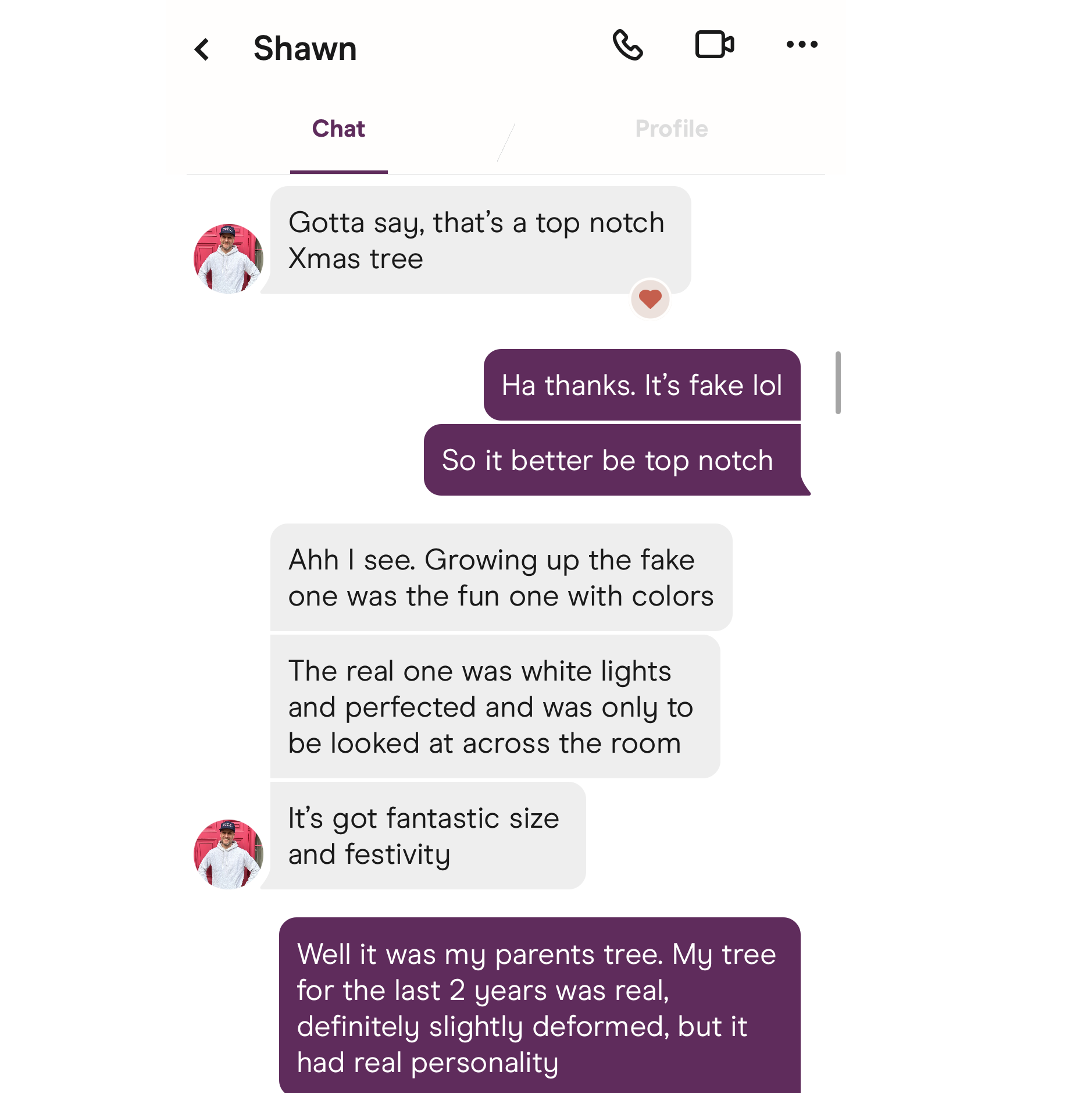 Shawn's rizz (the first messages exchanged on dating app where we met)