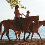 Whispering Woods Riding Stables