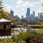 Lincoln Park Zoo & Nature Boardwalk