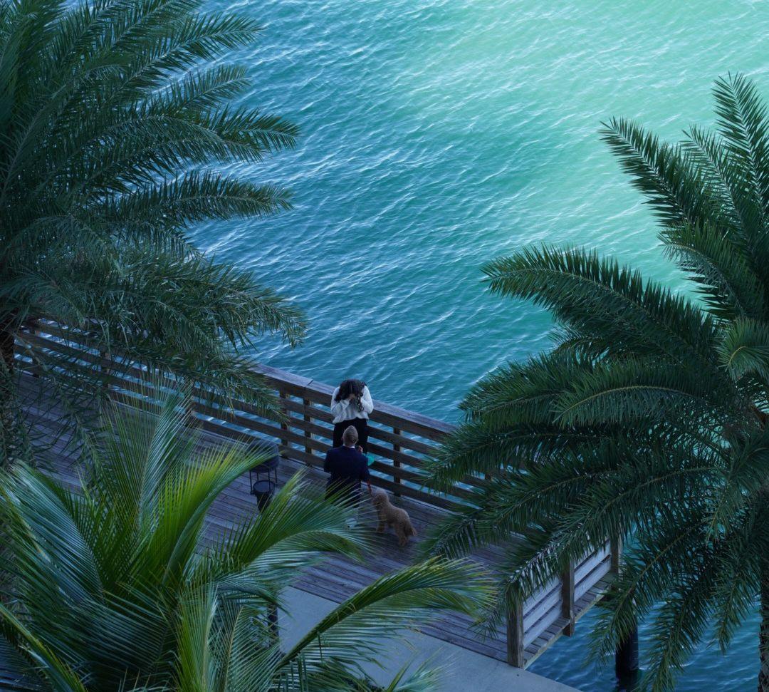 53036833-0b6b-43ea-9dc2-4c7b3bfd384d