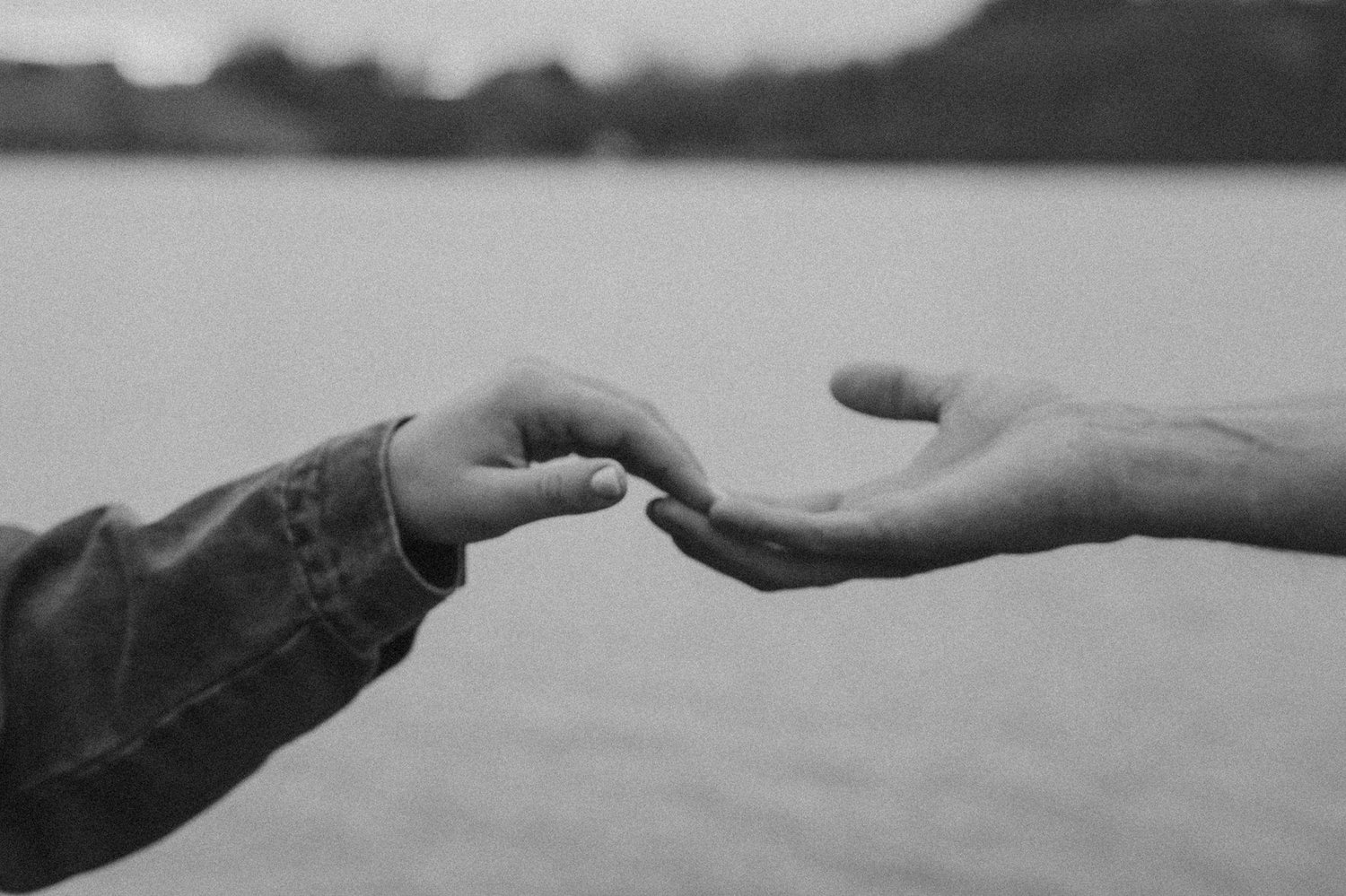 The Wedding Website of Rachel Carney and Nathaniel Weise
