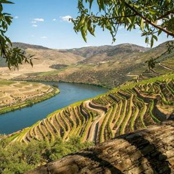 Douro Wine Tour - Portugal