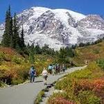 Mount Rainier National Park