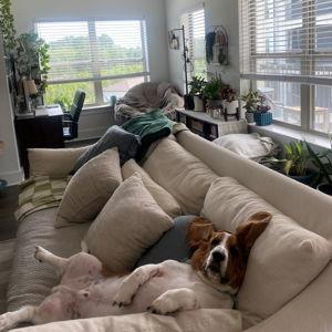 Our Forever Home Fund