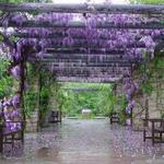 Idaho Botanical Garden