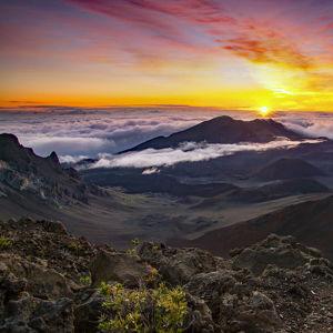 Haleakala Sunrise Tour on our Honeymoon