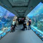 Aquarium of the Pacific