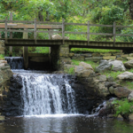 Newlin Grist Mill Park
