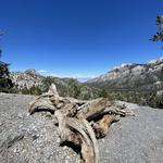 Mount Charleston Recreation Area