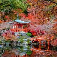 Sightseeing Tours in Japan
