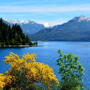Our Argentina Honeymoon Fund