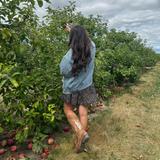 Tuttle Orchards