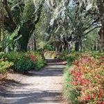 Hampton Park