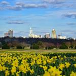 Dorothea Dix Park
