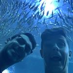 Georgia Aquarium