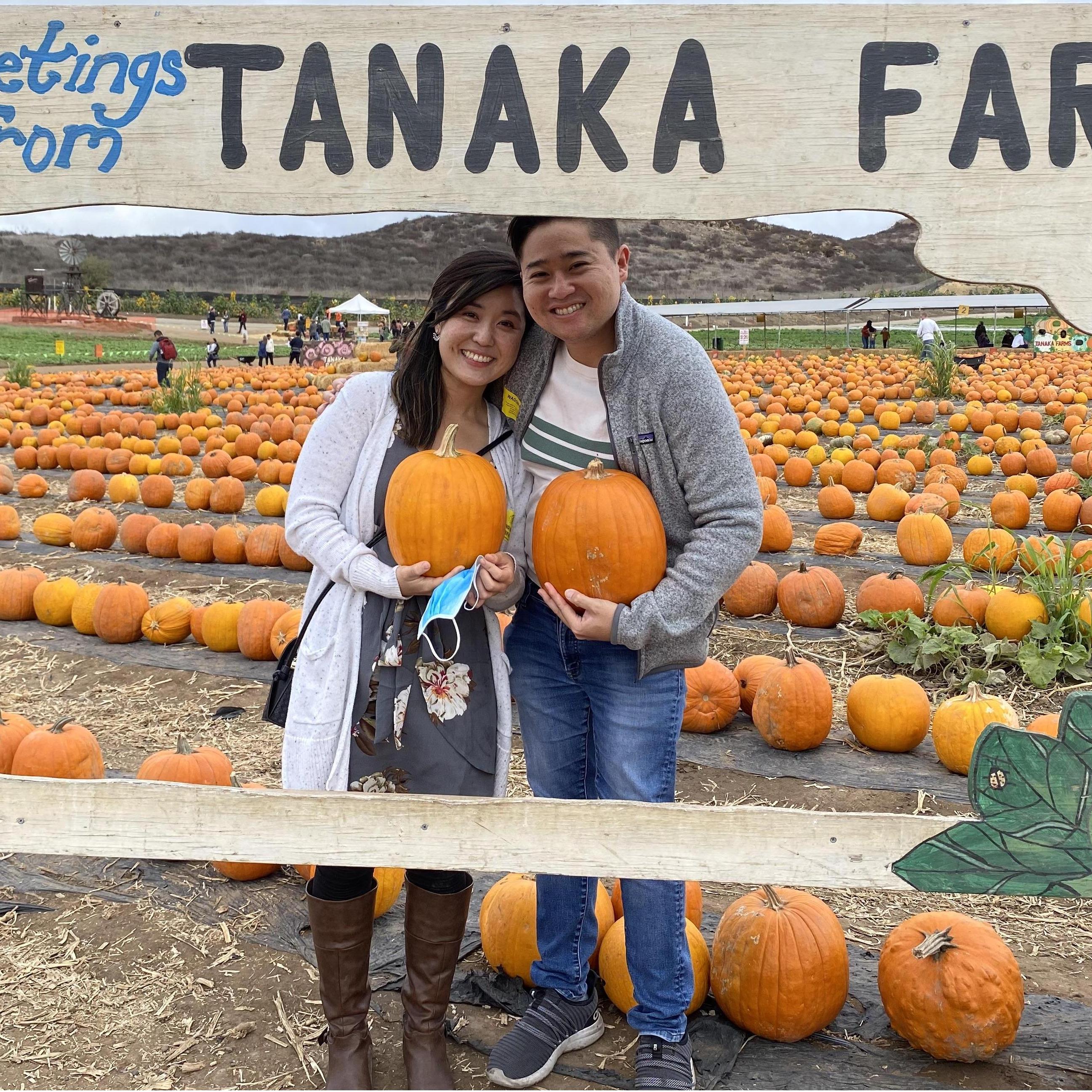 Pumpkin Patch @ Tanaka Farms!