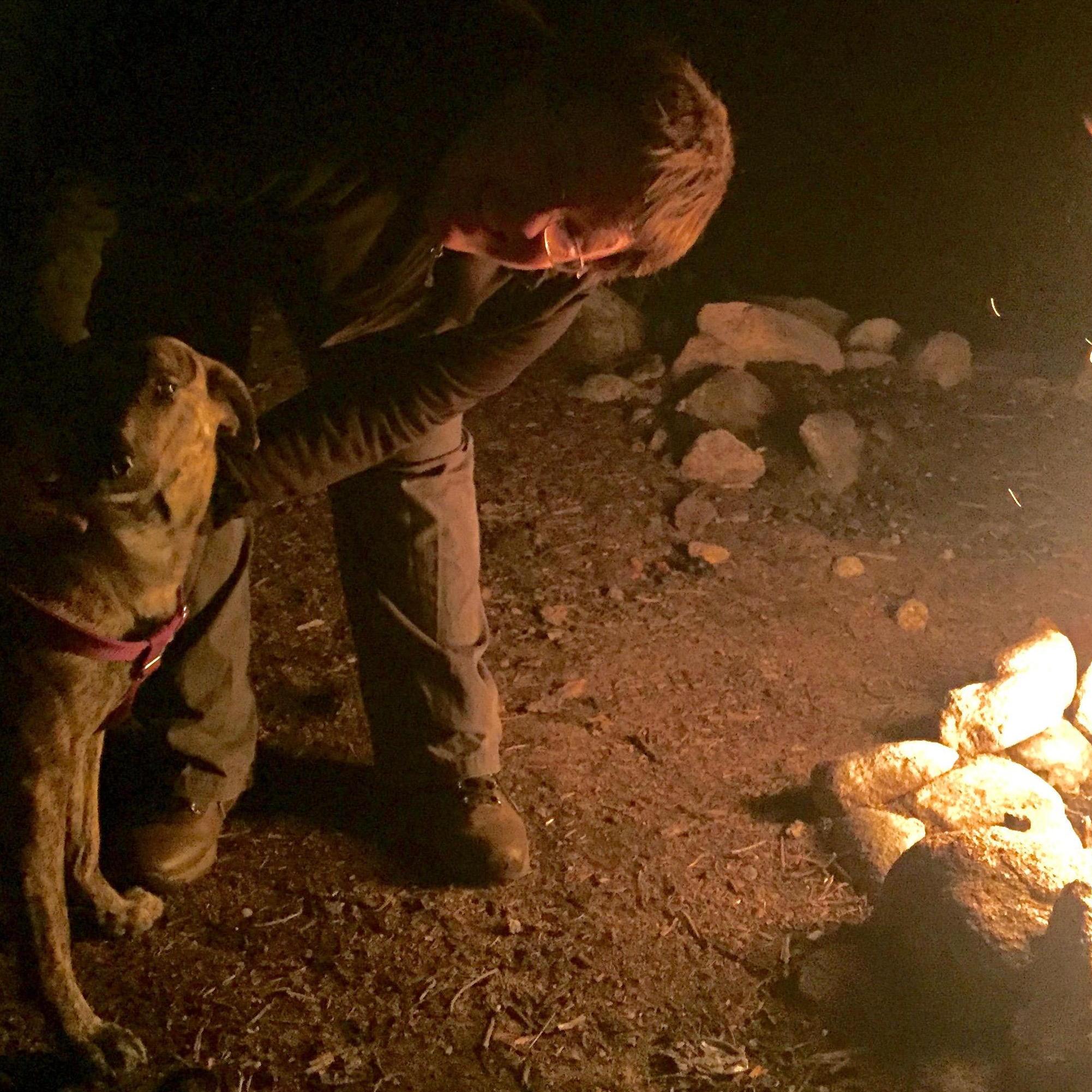 June 2017
Wanting to have an adventure, we found an old campsite and waited for dark to build a fire. The night ended in us bolting back to the car, scared we were being chased by an animal!