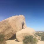 Skull Rock at Jumbo Rocks Campground