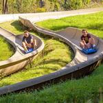 Alpine Slide