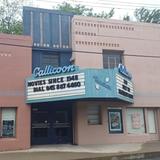 Callicoon Theater