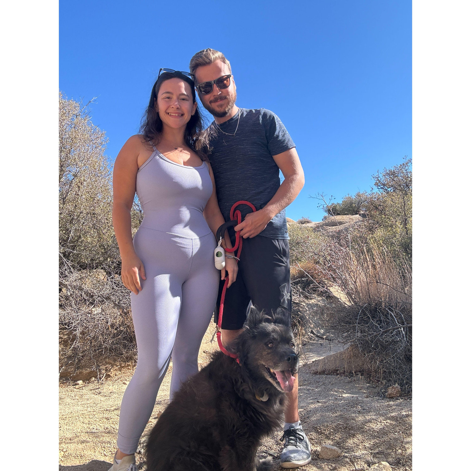 We HAD to let Donny sniff around Joshua Tree! 11/2024