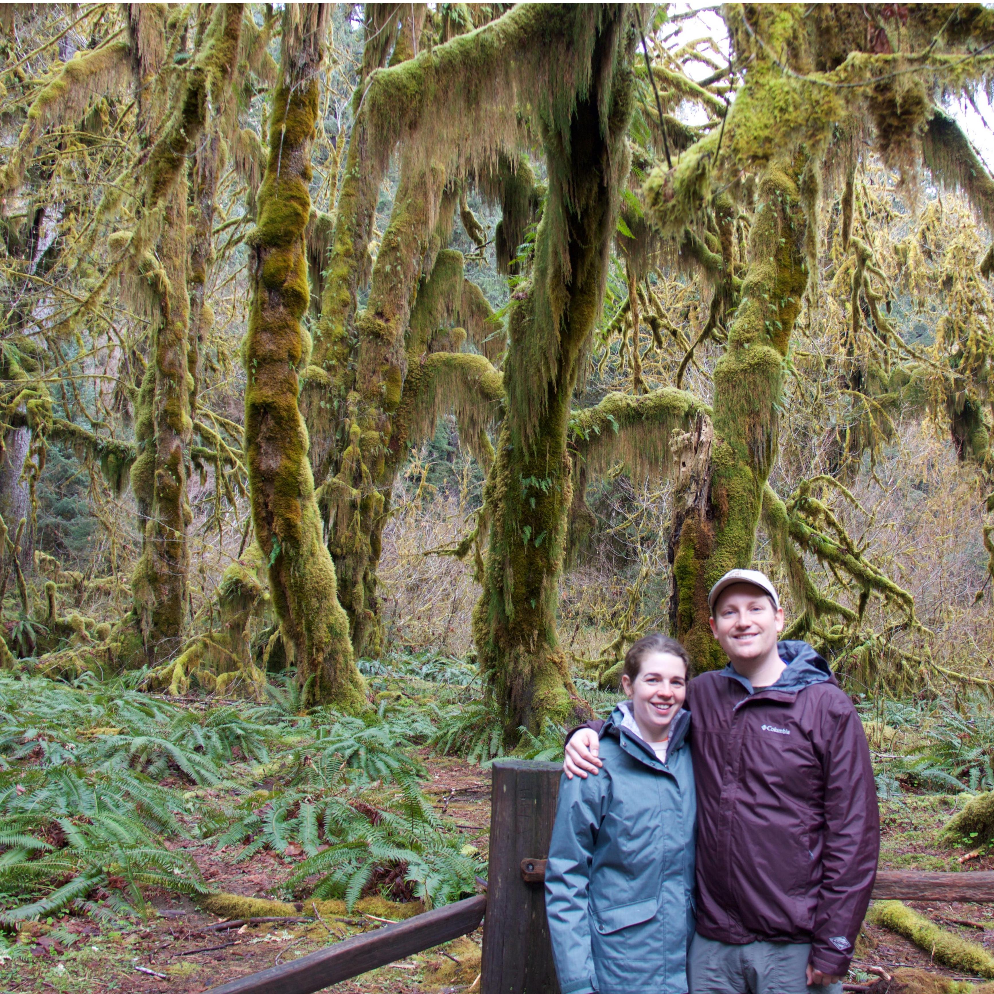 Olympic National Park, April 2017