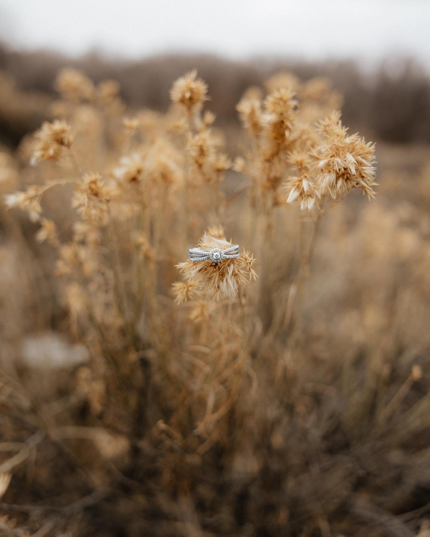 The Wedding Website of Bo Bourasa and Macarty Lord