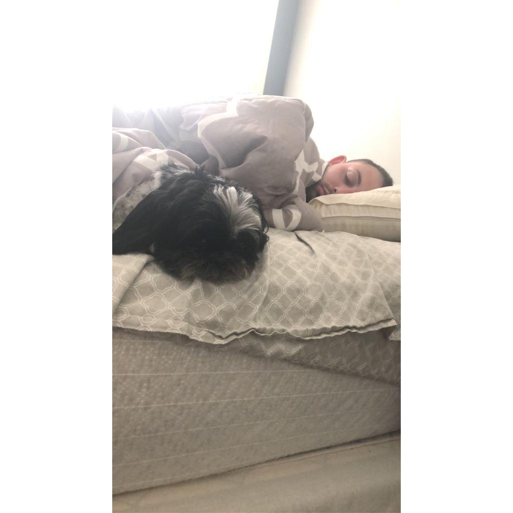 Sleepy Bella and Vinny