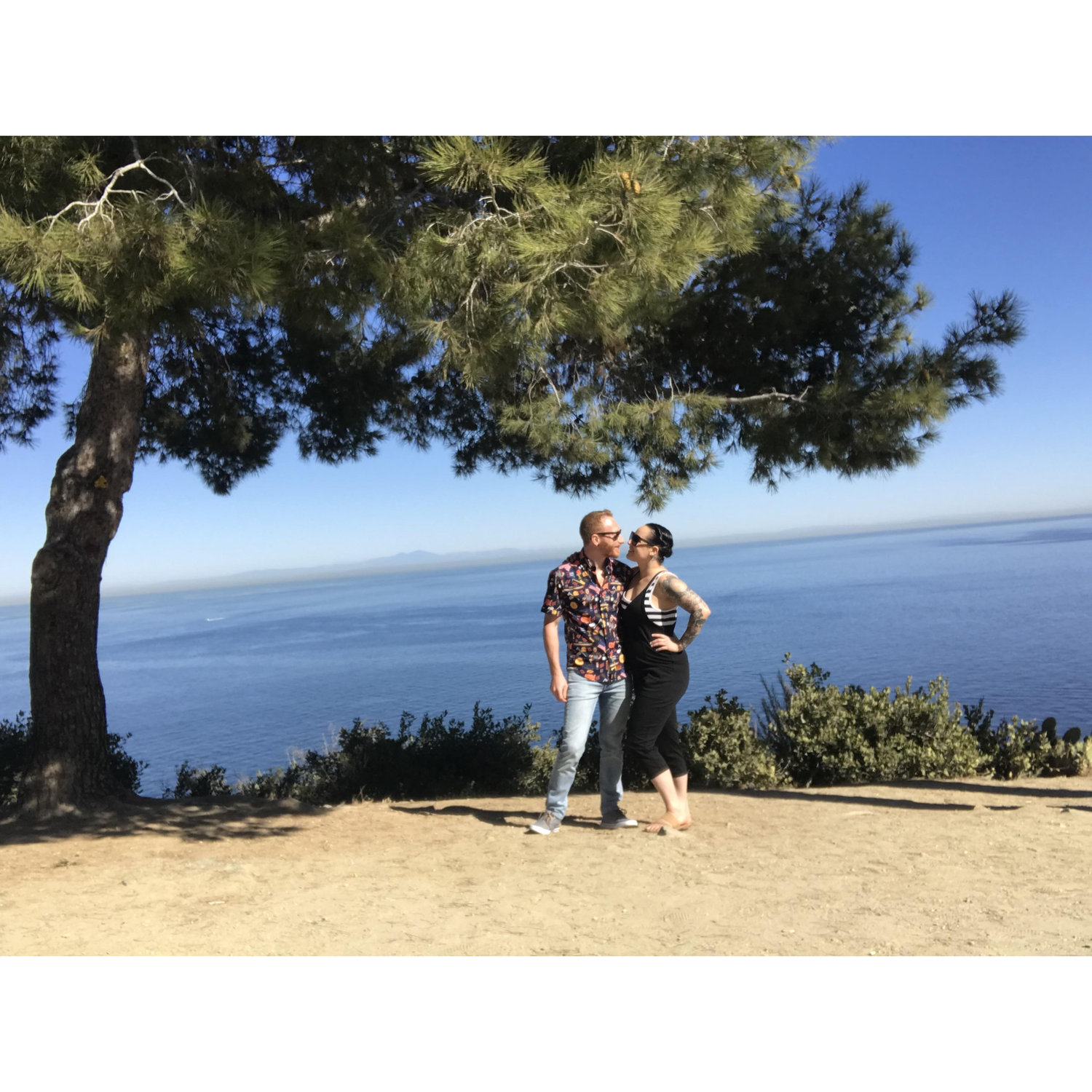 Catalina 2019