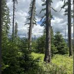 Hiking/Biking The Whitefish Trail System