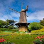 Dutch Windmill