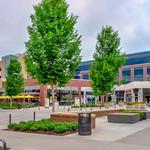 Hill Center Green Hills