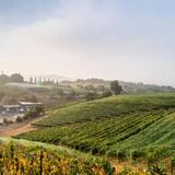 Fallbrook Winery