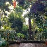 Olbrich Botanical Gardens