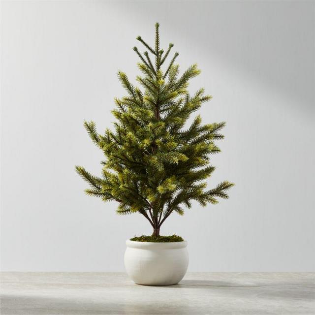 Faux Potted Mini Pine Tree 24"