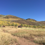 Hunters Creek trail to Smuggler mountain trail