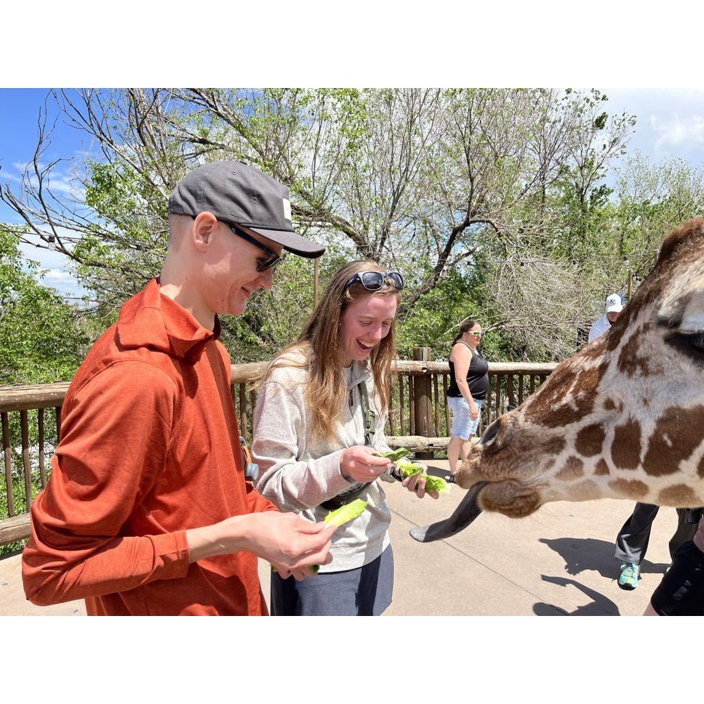 Feeding giraffes at the Colorado Springs zoo while visiting the Blacklocks!
