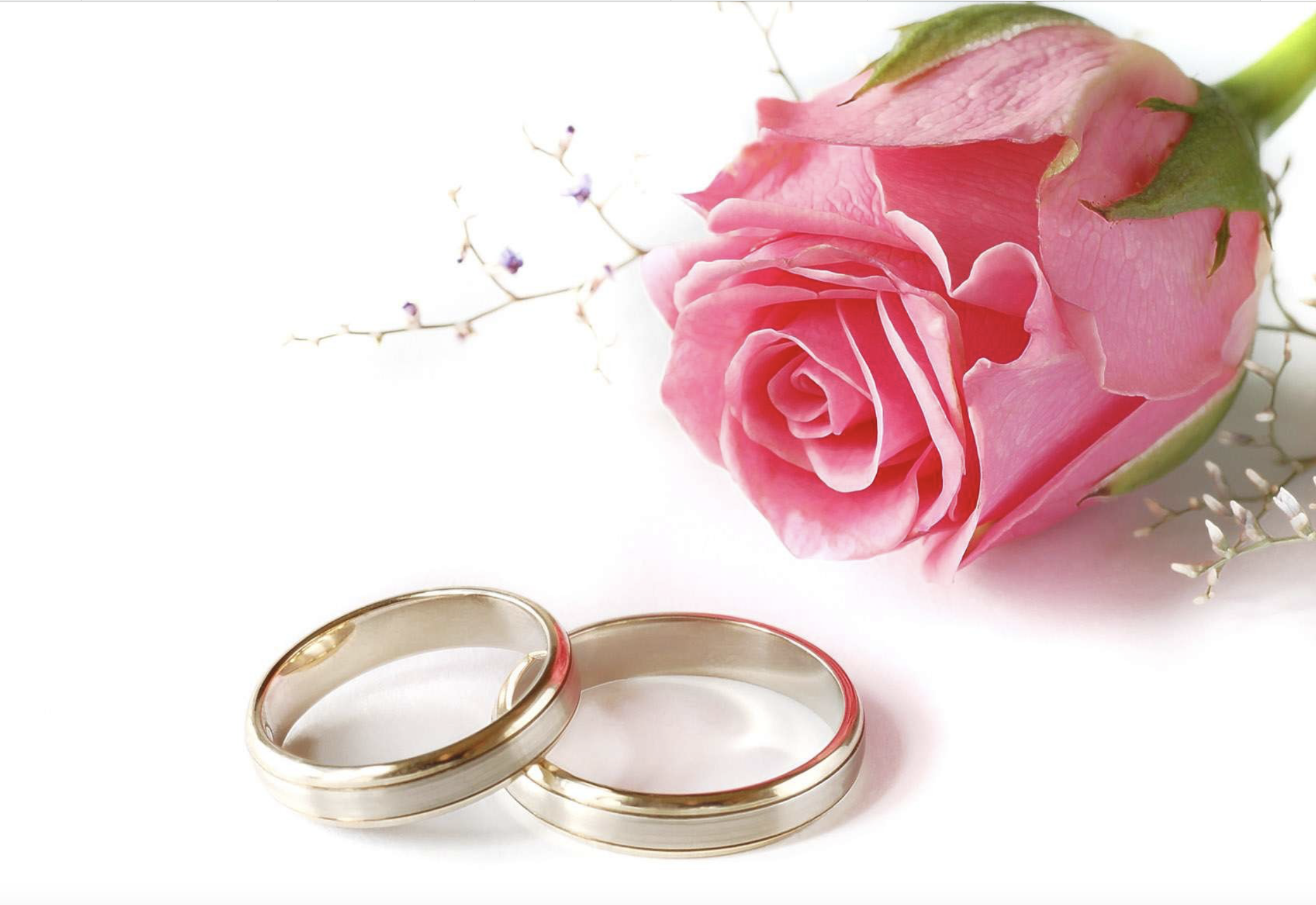The Wedding Website of Timothy Mansour and Michele Meszaros