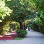 The Katy Trail