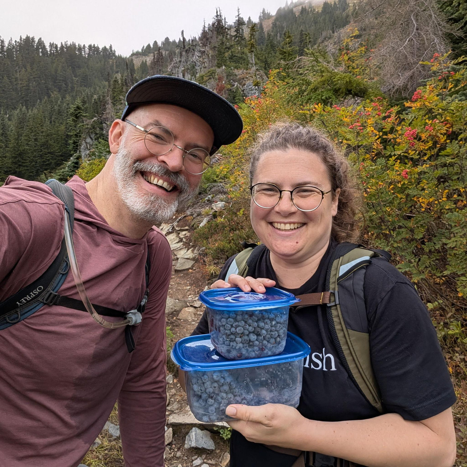 Silver Peak huckleberry picking