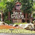 Busch Gardens