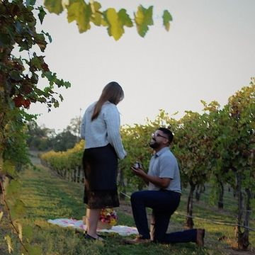 The perfect proposal.