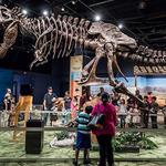 Orlando Science Center
