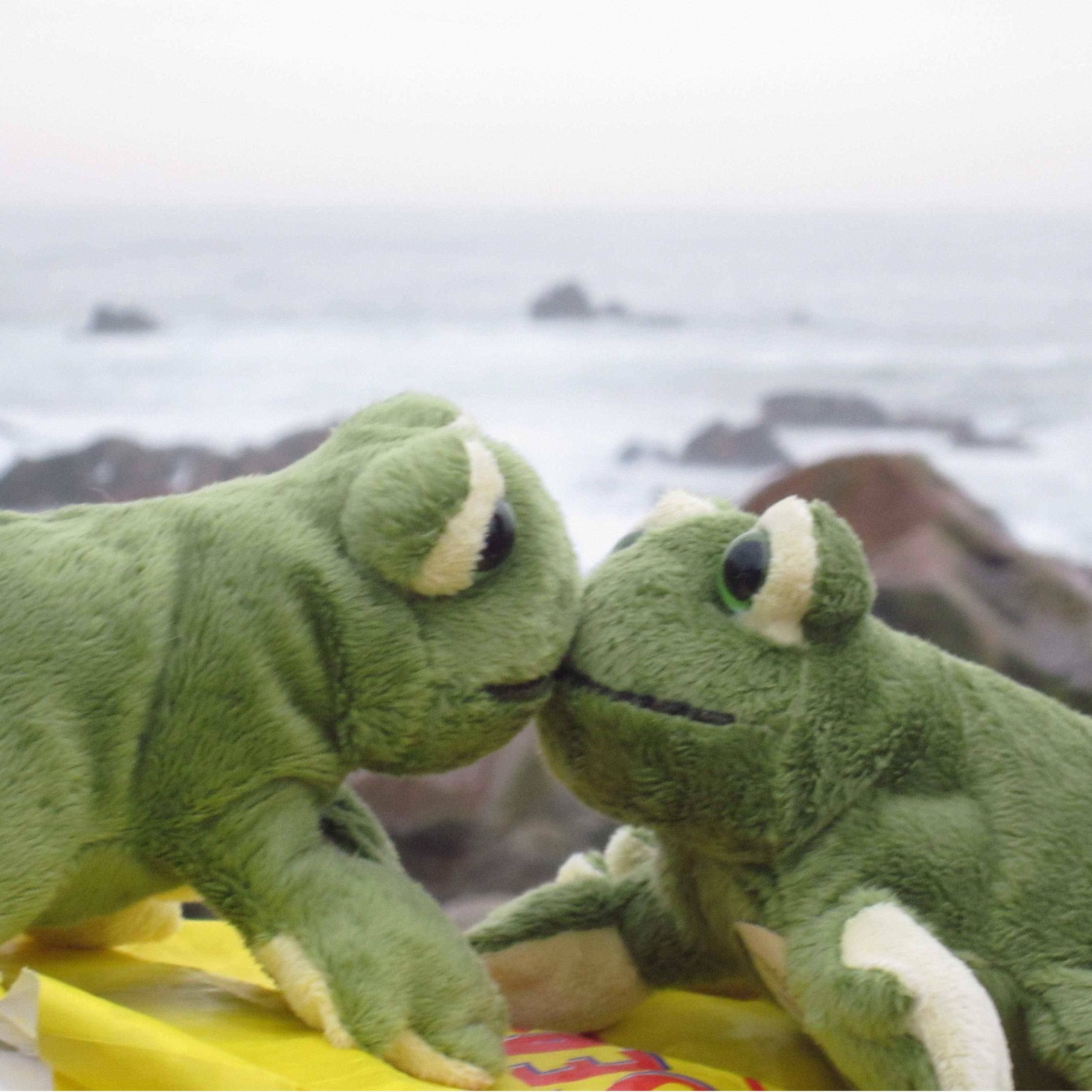 January 18, 2011. Oporto, Portugal. "Gigi & Lolita, our first pets."